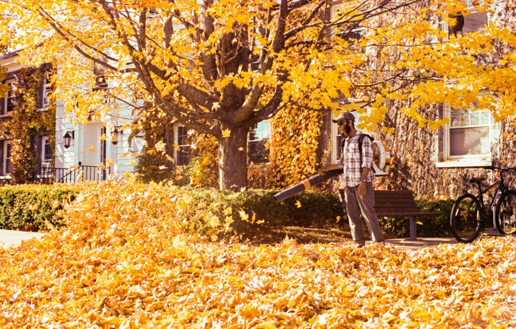 Landscaper using a leaf blower on autumn leaves