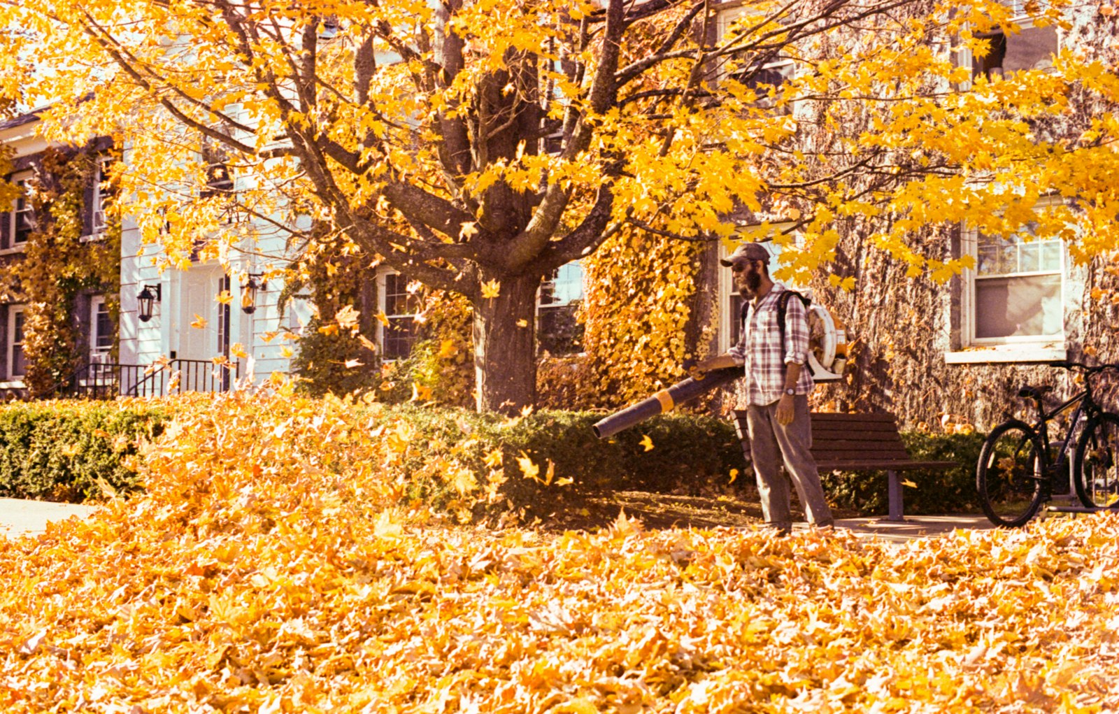 Landscaper using a leaf blower on autumn leaves
