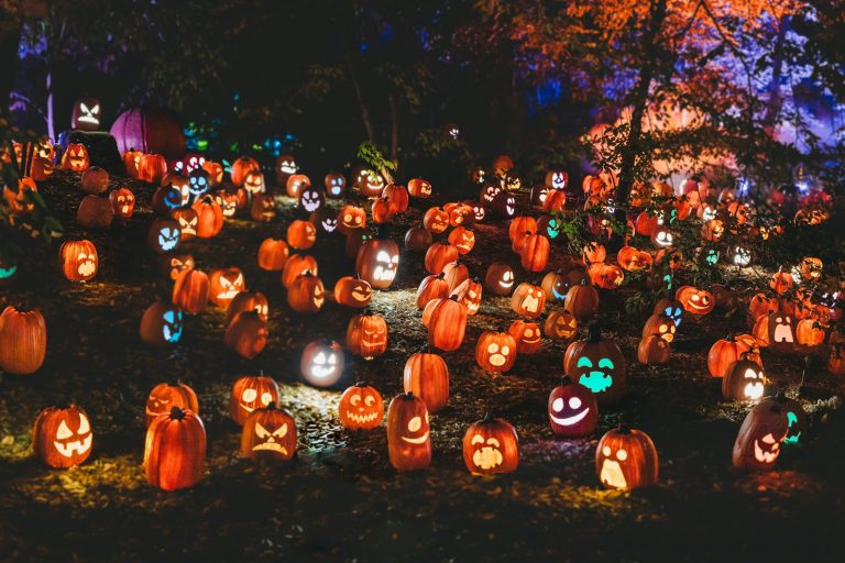 Rows of carved jack-o'-lanterns glowing at night