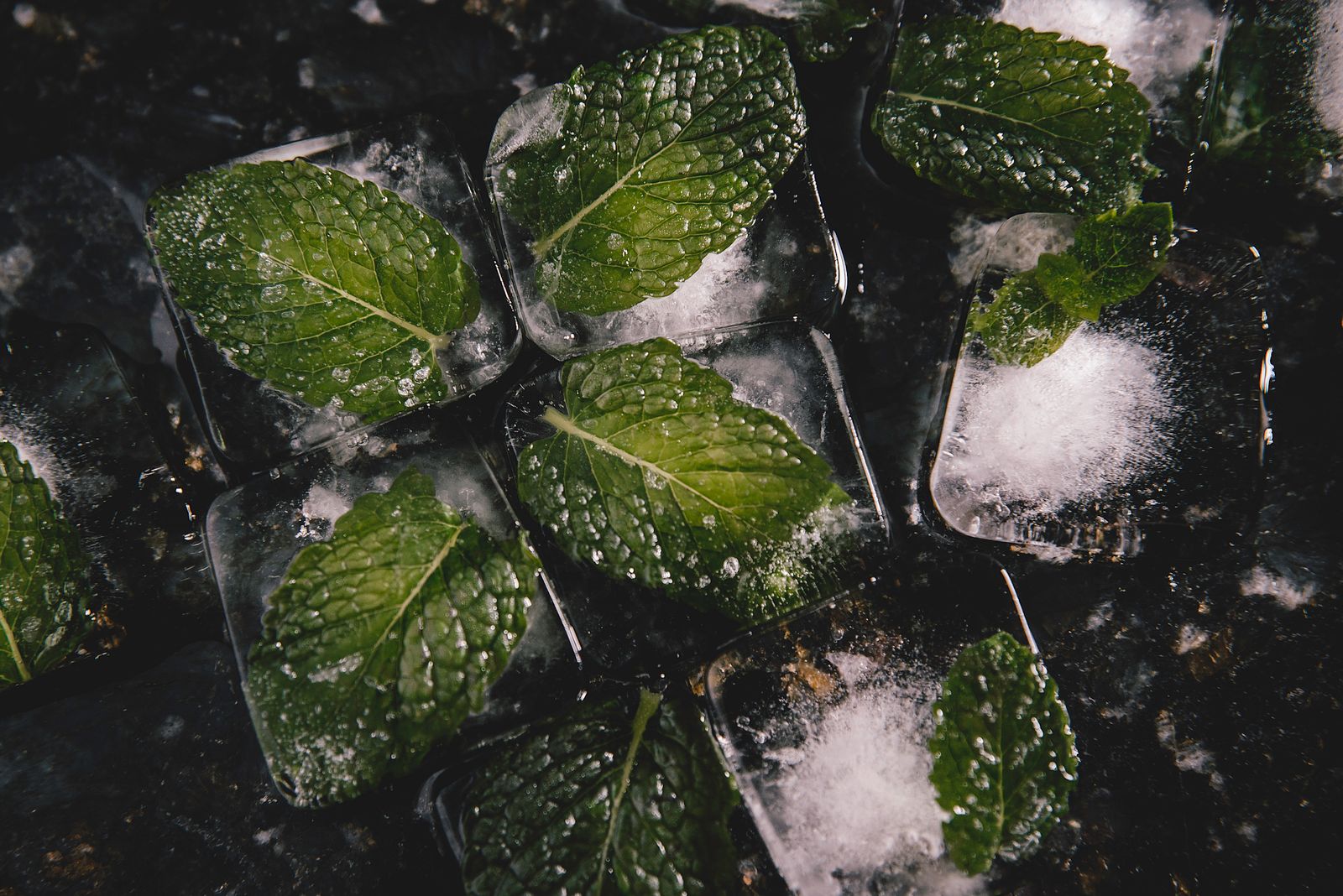 Fresh herbs frozen in ice cubes