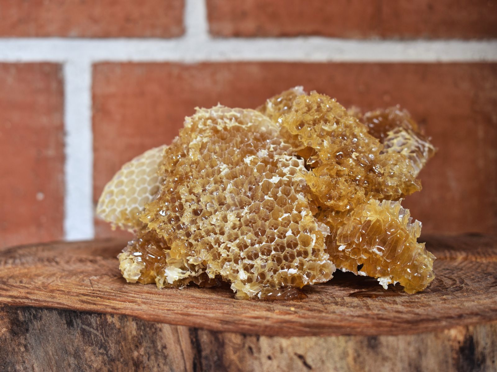 Honeycomb, the source of beeswax for food wraps