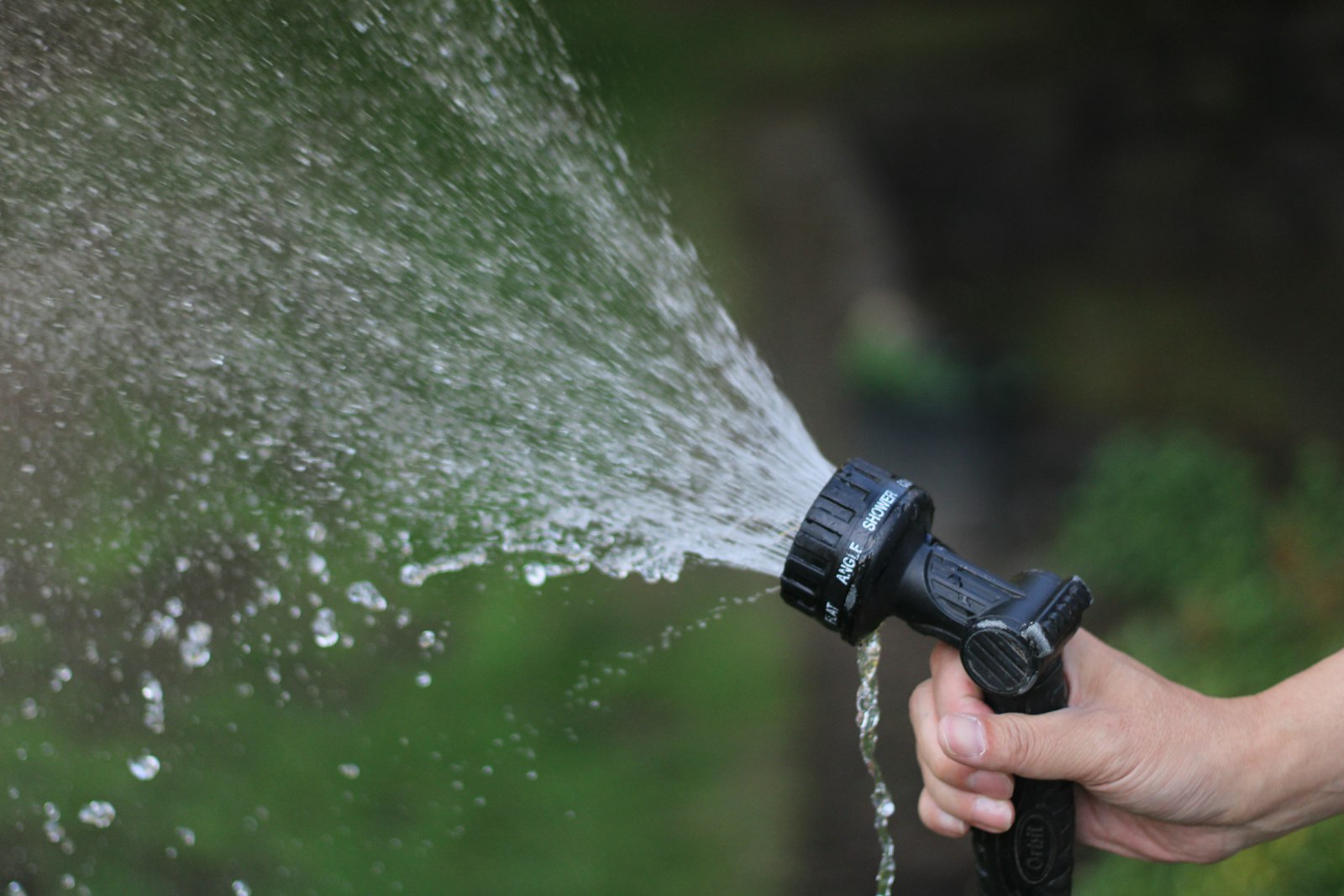 Garden hose watering plants